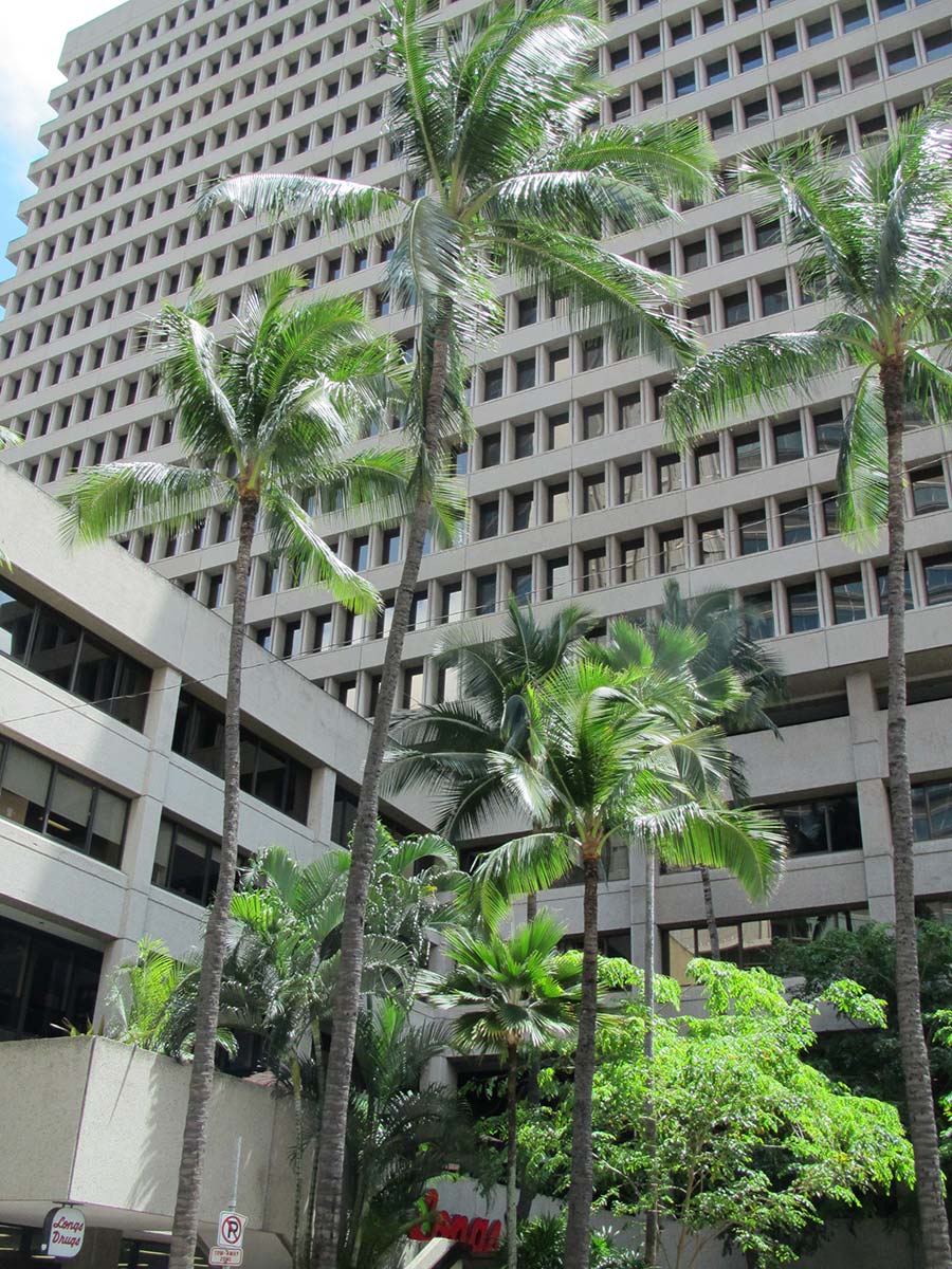 image of Daview Pacific Building in Honolulu