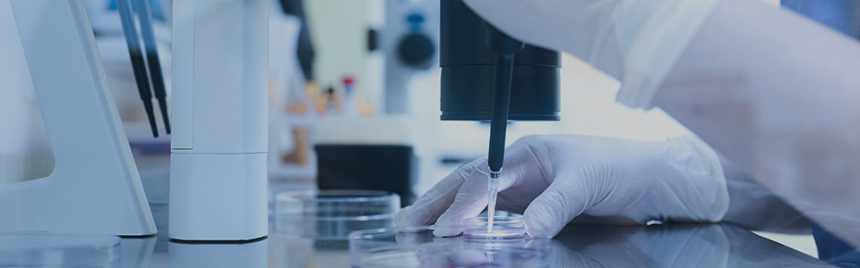 image of lab person combing egg and sperm in petri dish.